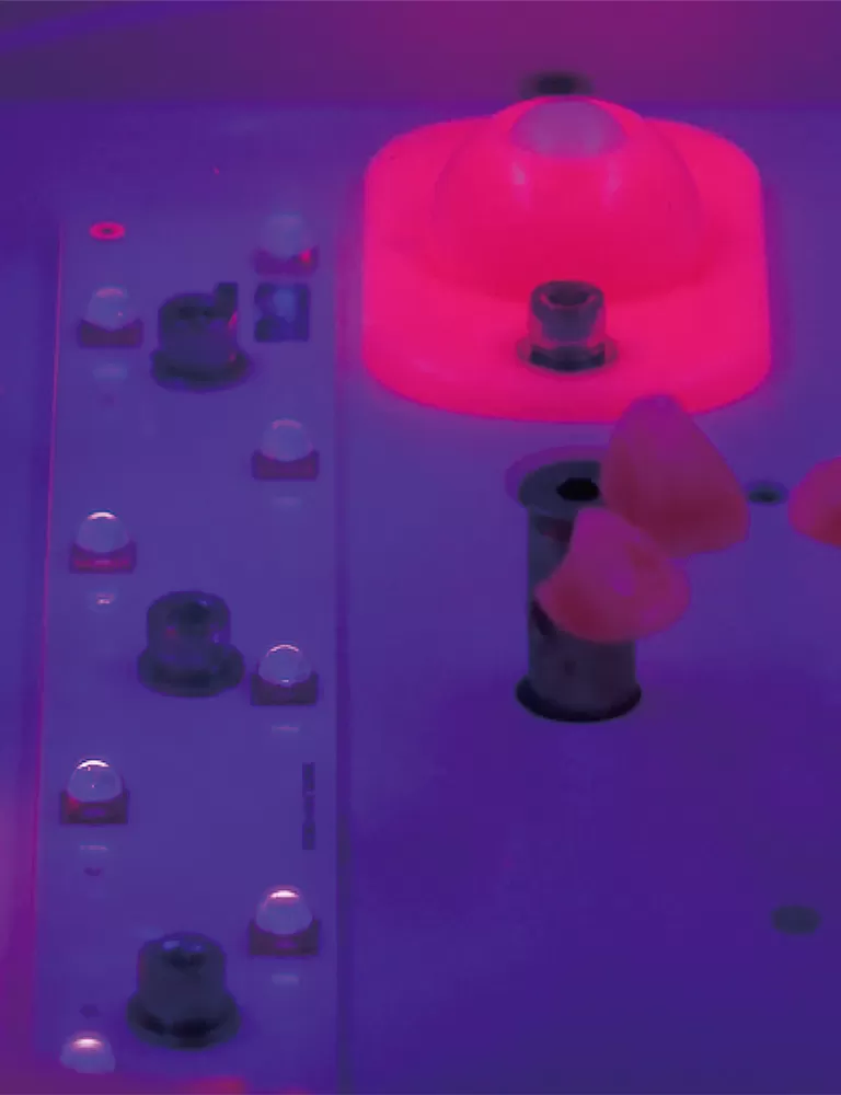 RAYSHAPE profesyonel Post-Processing çözümleri ile 3D baskılarınızı yükseltin