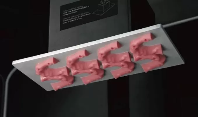 Artificial Gingiva Model Resin: Soft Pink